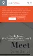 How lanepowell.com looks like on a mobile device such as an iPhone.