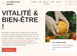 How lasanteetlesplantes.com looks like on a tablet such as an iPad.