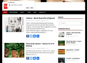 How lasgidivibes.com looks like on a tablet such as an iPad.