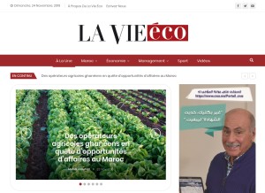 How lavieeco.com looks like on a tablet such as an iPad.