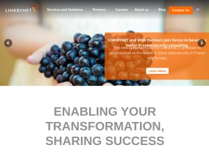How lbn.fr looks like on a tablet such as an iPad.