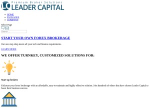 How leadercapital.net looks like on a tablet such as an iPad.