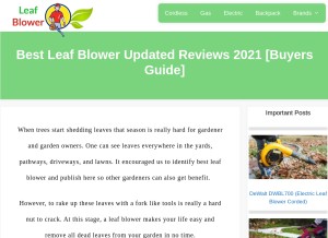 How leaf-blower.net looks like on a tablet such as an iPad.