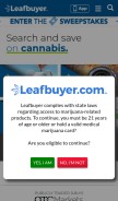 How leafbuyer.com looks like on a mobile device such as an iPhone.