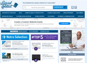 How lelogicielgratuit.com looks like on a tablet such as an iPad.