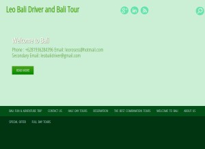 How leobalidriver.com looks like on a tablet such as an iPad.