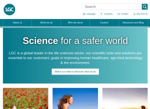 How lgcgroup.com looks like on a tablet such as an iPad.