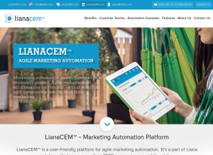 How lianacem.com looks like on a tablet such as an iPad.
