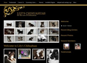 How lilyschihuahuas.com looks like on a tablet such as an iPad.