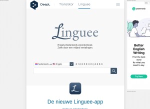 How linguee.nl looks like on a tablet such as an iPad.
