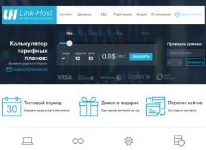 How link-host.net looks like on a tablet such as an iPad.