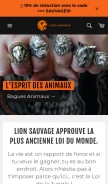 How lion-sauvage.com looks like on a mobile device such as an iPhone.