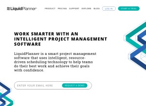 How liquidplanner.com looks like on a tablet such as an iPad.