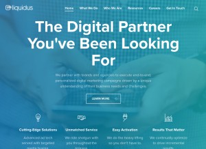 How liquidus.net looks like on a tablet such as an iPad.