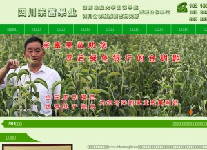 How lishumiaojd.com looks like on a tablet such as an iPad.