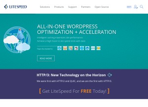 How litespeedtech.com looks like on a tablet such as an iPad.
