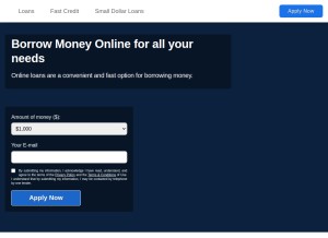 How loansonlineusa.net looks like on a tablet such as an iPad.