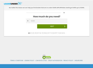 How loansunder36.com looks like on a tablet such as an iPad.