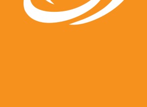 How logic.ky looks like on a tablet such as an iPad.