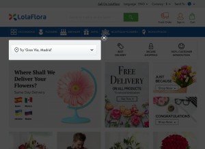 How lolaflora.com looks like on a tablet such as an iPad.