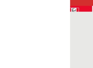 How looptt.com looks like on a tablet such as an iPad.