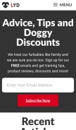 How loveyourdog.com looks like on a mobile device such as an iPhone.