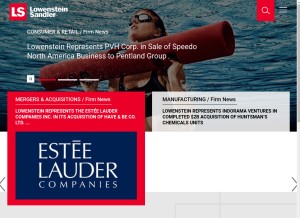 How lowenstein.com looks like on a tablet such as an iPad.