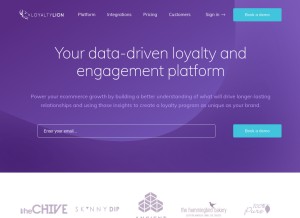 How loyaltylion.com looks like on a tablet such as an iPad.