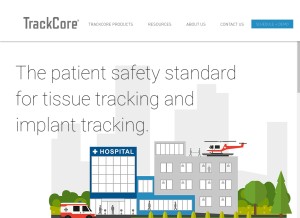 How lpitsolutions.com looks like on a tablet such as an iPad.