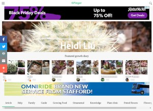 How lrgarden.com looks like on a tablet such as an iPad.