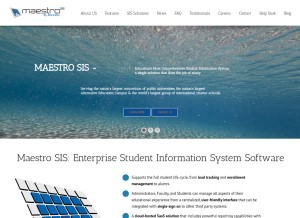 How maestrosis.com looks like on a tablet such as an iPad.