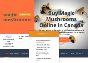How magicmushroomsdispensary.ca looks like on a tablet such as an iPad.