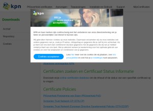 How managedpki.com looks like on a tablet such as an iPad.