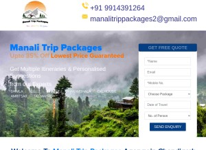 How manalitrippackages.com looks like on a tablet such as an iPad.