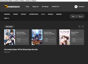 How mangasco.com looks like on a tablet such as an iPad.