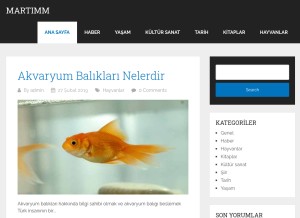 How martimm.com looks like on a tablet such as an iPad.