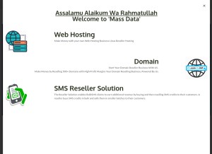 How massdataltd.com looks like on a tablet such as an iPad.