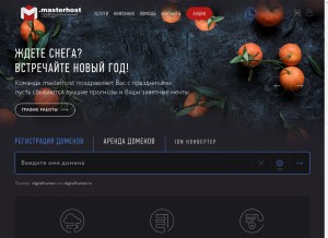 How masterhost.ru looks like on a tablet such as an iPad.