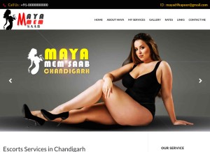 How mayamemsaab.com looks like on a tablet such as an iPad.