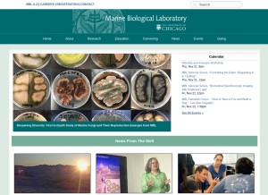 How mbl.edu looks like on a tablet such as an iPad.