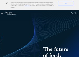 How mckinsey.com looks like on a tablet such as an iPad.