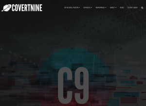 How mckvalve.com looks like on a tablet such as an iPad.