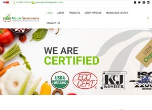 How mclobingredients.com looks like on a tablet such as an iPad.