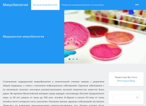 How med-microbiology.com looks like on a tablet such as an iPad.