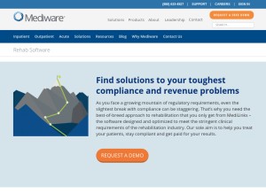 How mediserve.com looks like on a tablet such as an iPad.