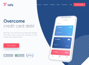 How meettally.com looks like on a tablet such as an iPad.