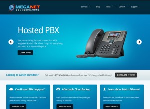 How meganet.net looks like on a tablet such as an iPad.