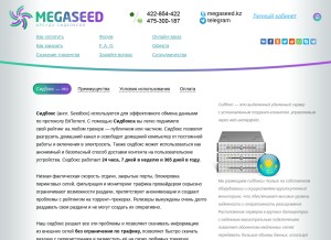 How megaseed.kz looks like on a tablet such as an iPad.