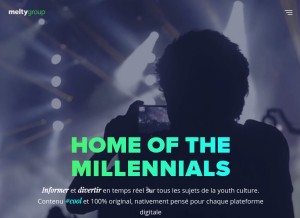 How meltygroup.com looks like on a tablet such as an iPad.