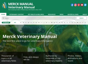 merckvetmanual.com Domain Owner Whois and Analysis